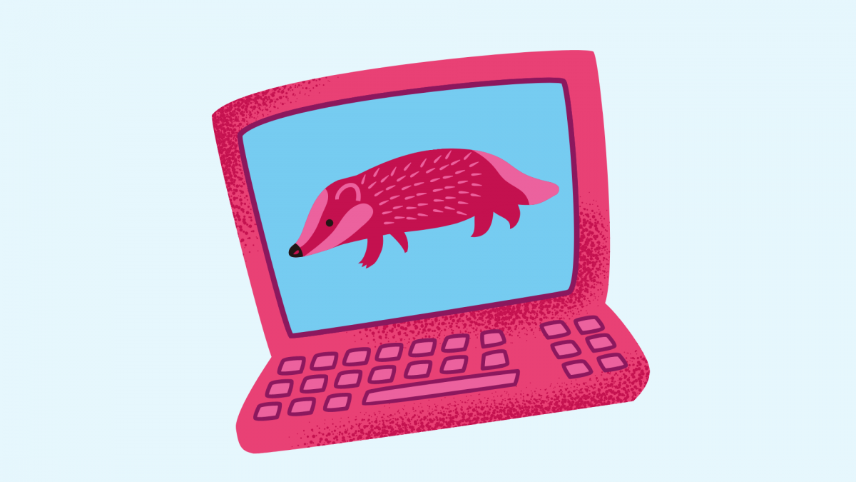 animal on laptop screen
