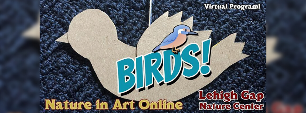 cardboard bird craft